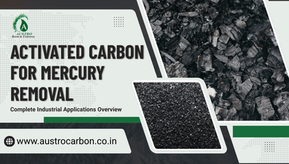 Activated Carbon for Mercury Removal